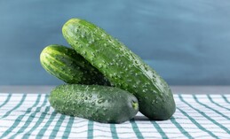 В Ханты-Мансийске продолжается контроль качества пищевой продукции