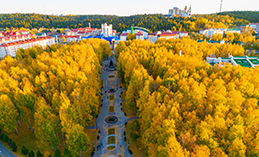 Дни креативных практик