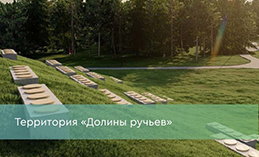 Проект благоустройства «Долины ручьёв» участвует в голосовании