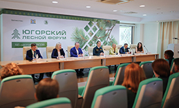 В Югре в 2026 году восстановят более 20 тыс. гектаров леса