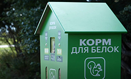 В парках Ханты-Мансийска появились «умные» кормушки для белок
