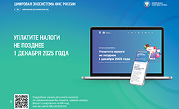 1 декабря истекает срок уплаты имущественных налогов