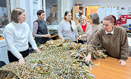 Предновогодний трудовой десант состоялся в Ханты-Мансийске