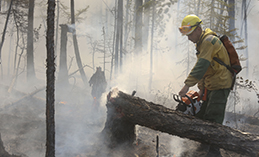 Даже маленький огонёк на природе может стать причиной большой беды