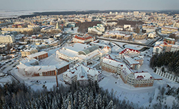 Гранты главы