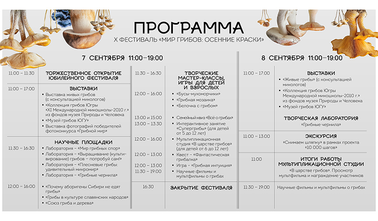 Мир грибов.jpg Мир грибов.jpg