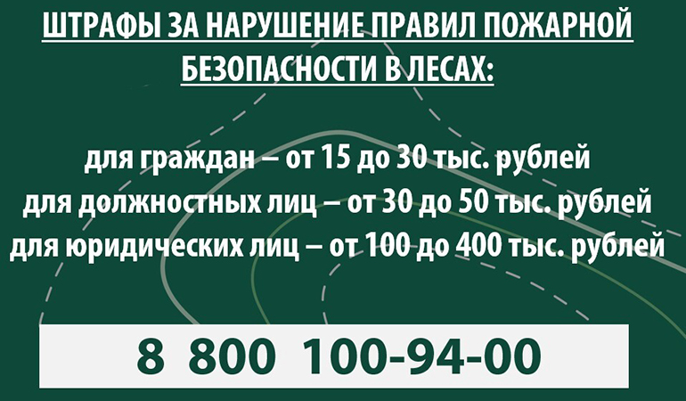 штрафы.jpg