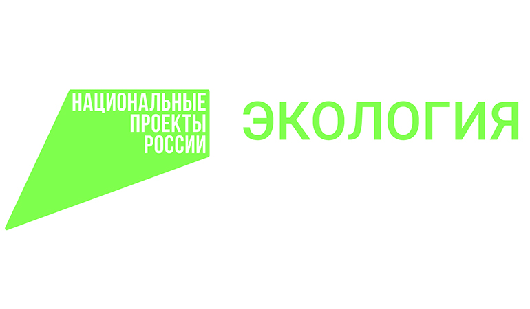 экология.jpg